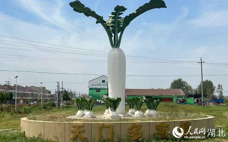 天門市多寶鎮(zhèn)路口的蘿卜雕塑。人民網(wǎng) 肖璐欣攝