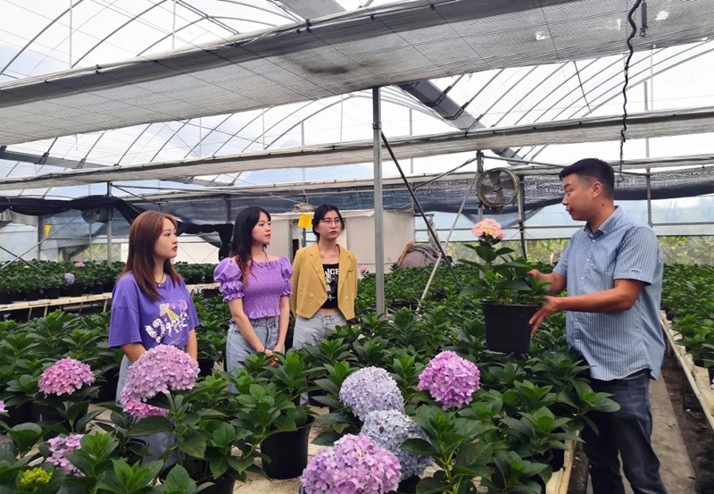 利用育苗大棚培育花卉助農(nóng)增收。