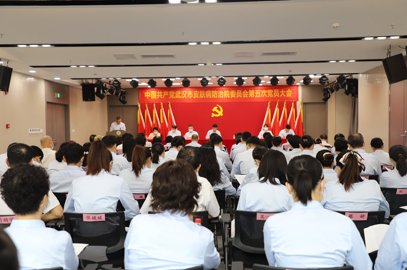 會議現(xiàn)場。武漢市皮膚病防治院供圖