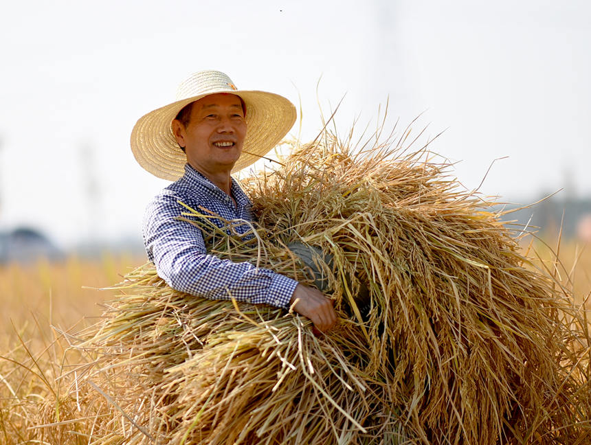 新洲國(guó)家級(jí)田園綜合體舉辦農(nóng)民豐收節(jié)。沈雷平攝