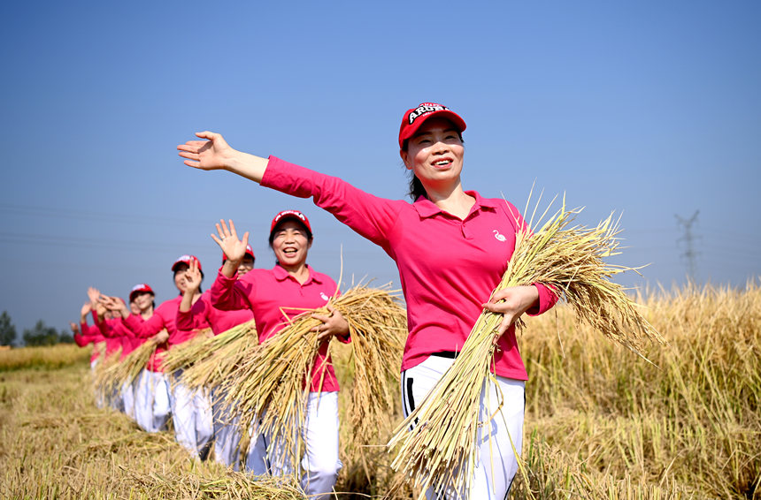 新洲國家級田園綜合體舉辦農民豐收節(jié)。沈雷平攝