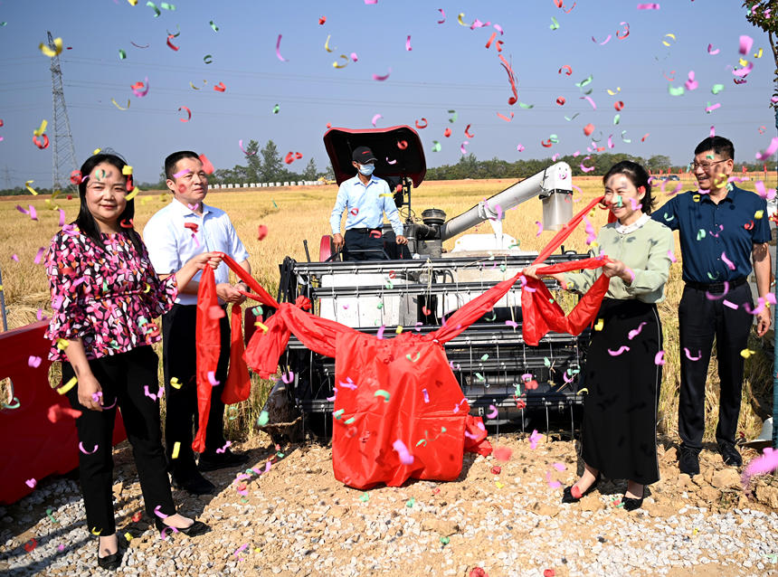 新洲國家級田園綜合體舉辦農(nóng)民豐收節(jié)。沈雷平攝