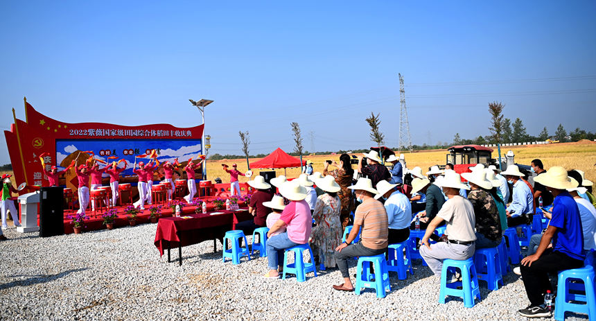 新洲國家級田園綜合體舉辦農(nóng)民豐收節(jié)。沈雷平攝
