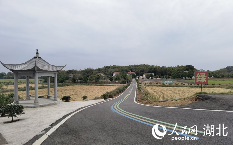 咸安區(qū)汀泗橋鎮(zhèn)黃荊塘村八組，整潔干凈的新農(nóng)村。周雯攝