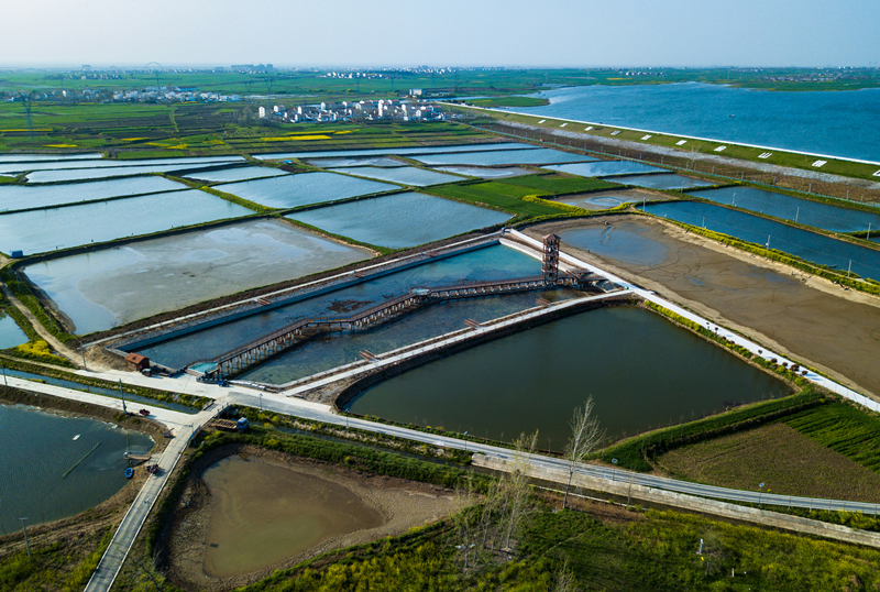 張家集鎮(zhèn)李營村。
