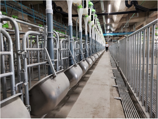 豬舍內(nèi)部。受訪者供圖