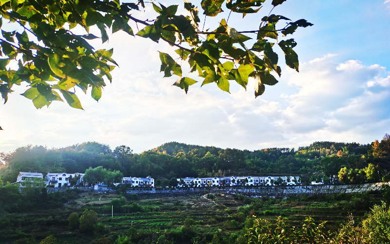 長林村容村貌。