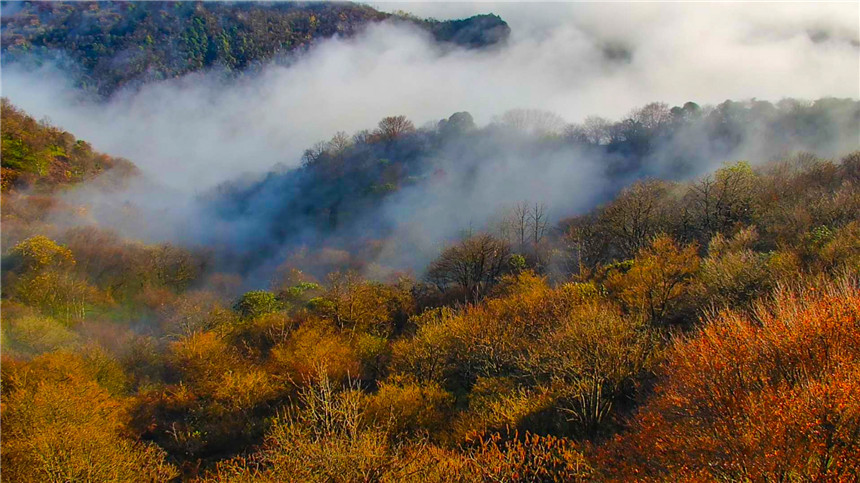 湖北建始:云霧繚繞似仙境【2】