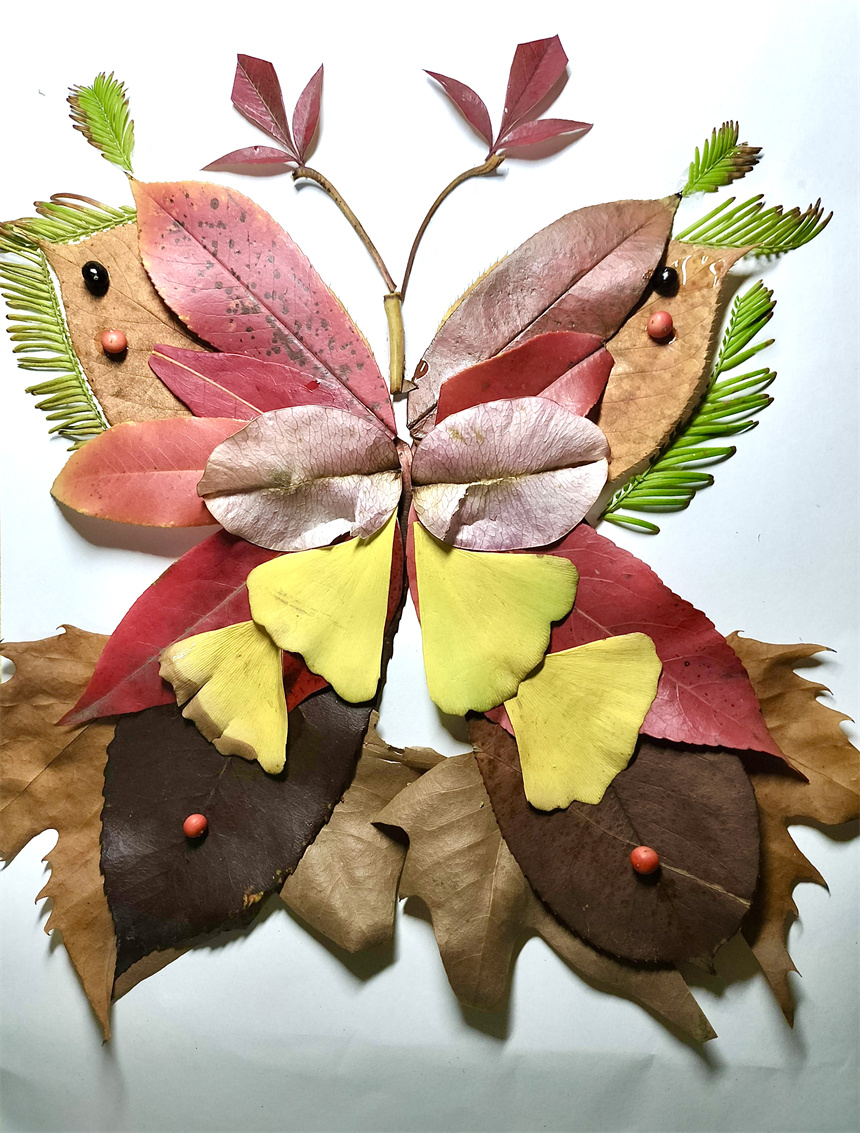 大學生創(chuàng)意“拾秋”留住多彩秋天