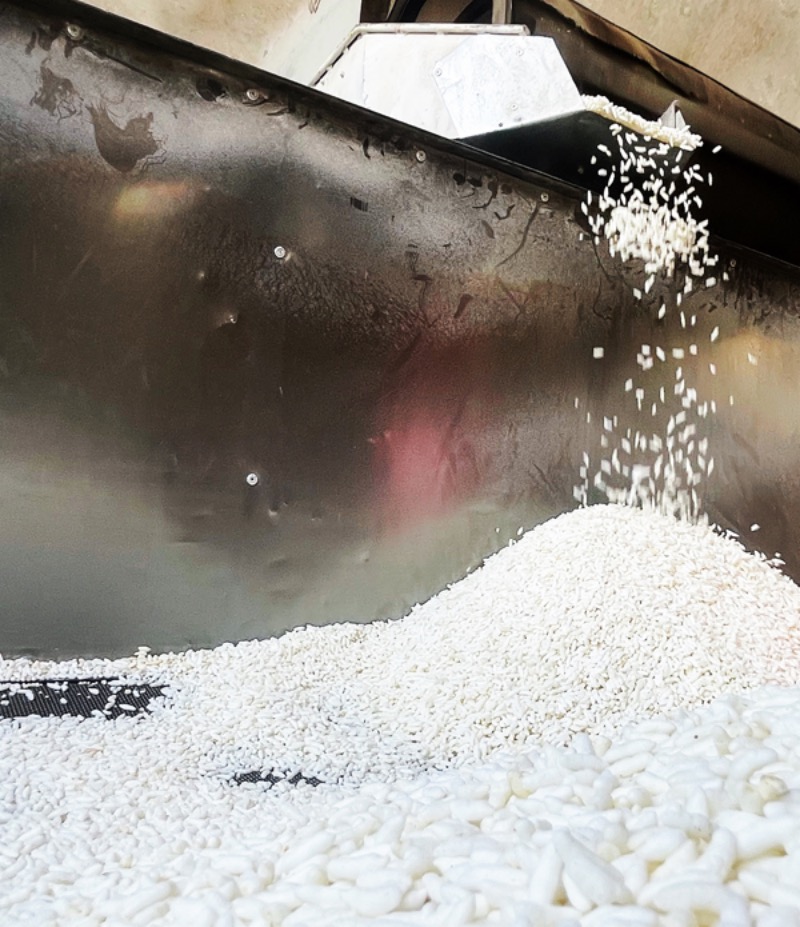 鄒賢安正在自家作坊用機(jī)器制作炒米。張倩倩攝