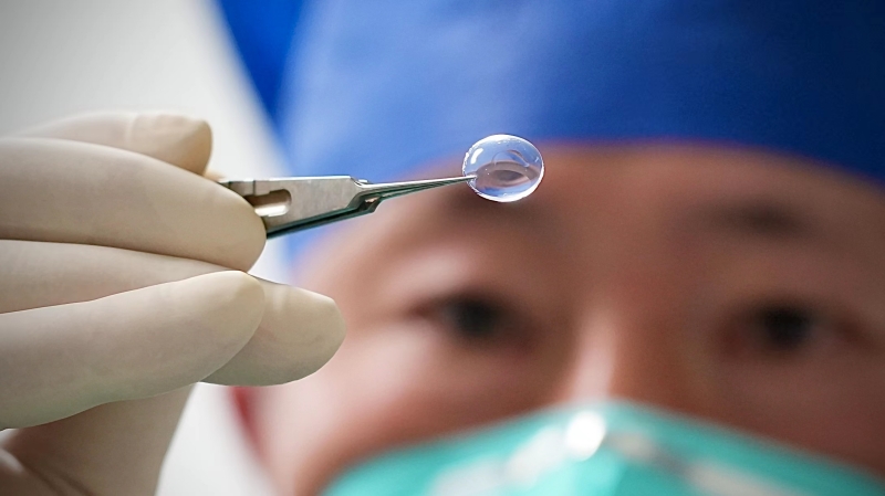 人工合成角膜。劉坤維攝