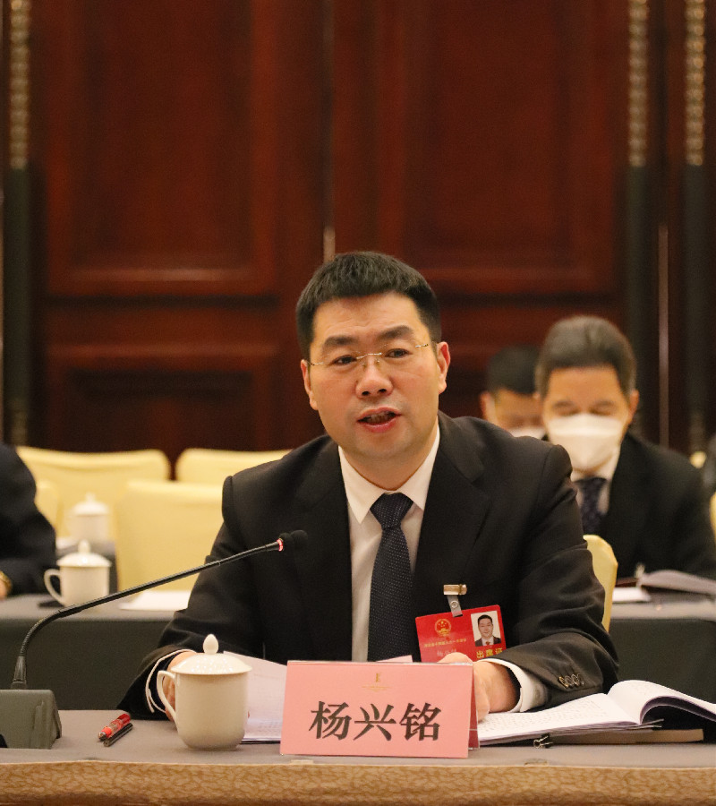 湖北省人大代表、天門市市長楊興銘.