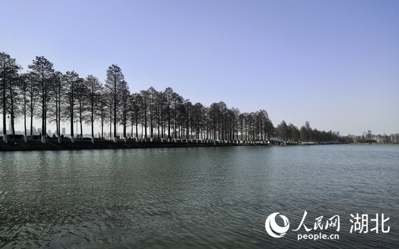 東湖風(fēng)景區(qū)。人民網(wǎng) 王郭驥攝