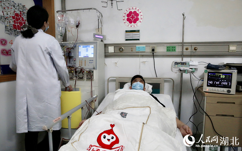 李剛（化名）正在采集造血干細胞。人民網(wǎng) 王郭驥攝