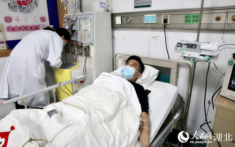 李剛（化名）正在采集造血干細胞。人民網(wǎng) 王郭驥攝