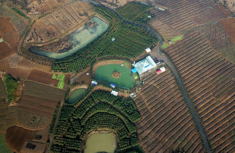 湖北竹山縣寶豐鎮(zhèn)綠色庭院。