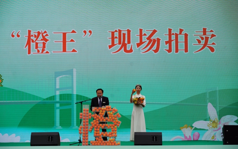 “橙王”現(xiàn)場拍賣活動環(huán)節(jié)，16個秭歸臍橙拍出了3.88萬元的天價。周華山攝