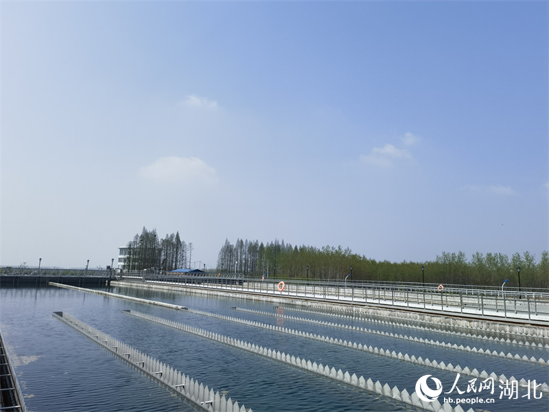 赤壁長江取水工程。人民網(wǎng) 周雯攝