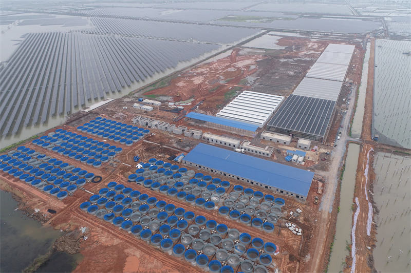 漁光互補光伏發(fā)電項目現(xiàn)場。赤壁市委宣傳部供圖
