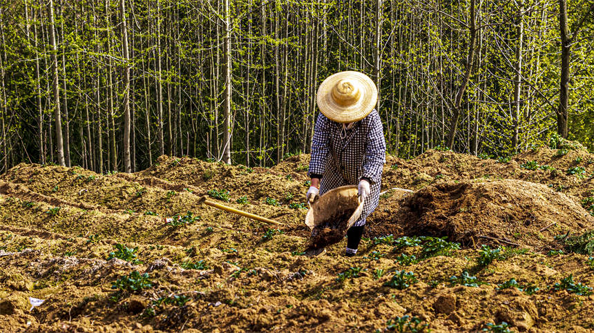 湖北建始:奏響大地勞作的序曲