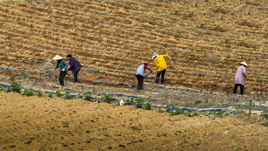 湖北建始:奏響大地勞作的序曲
