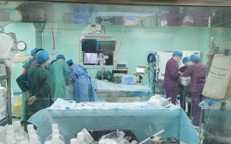 心血管內(nèi)科ECMO小組醫(yī)生為胡爹爹快速建立了ECMO支持。