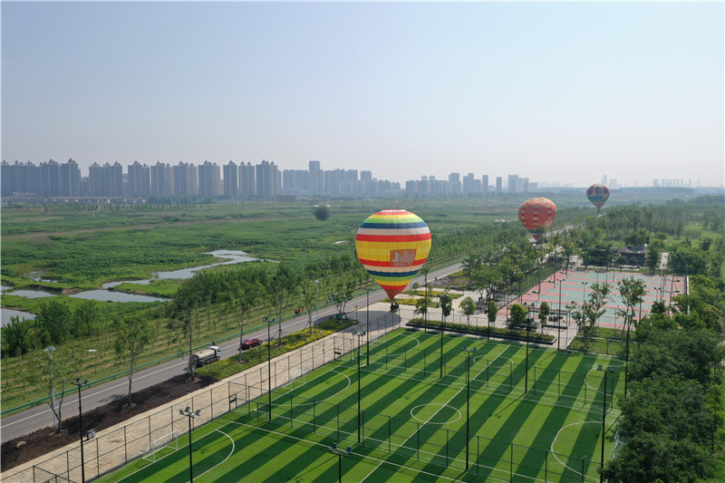 梧桐雨中享綠色生活。東西湖區(qū)委宣傳部供圖。