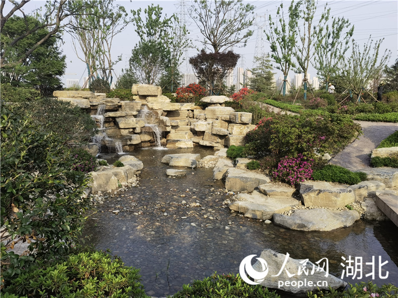 “杜鵑溪谷”。人民網(wǎng) 周雯攝