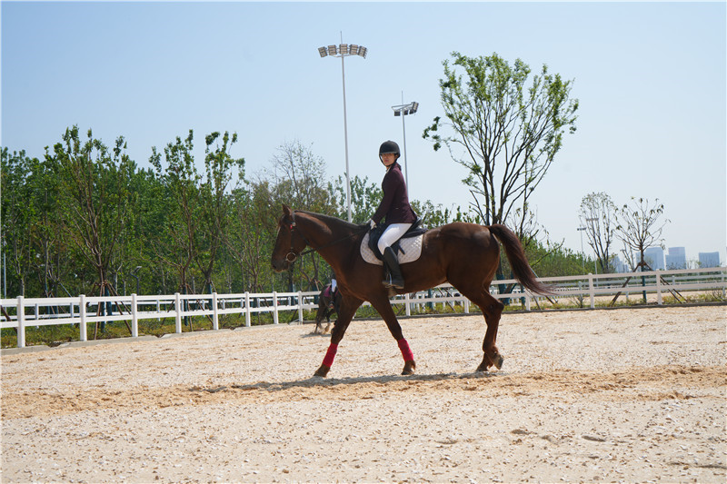 馬術(shù)運(yùn)動(dòng)。東西湖區(qū)委宣傳部供圖。