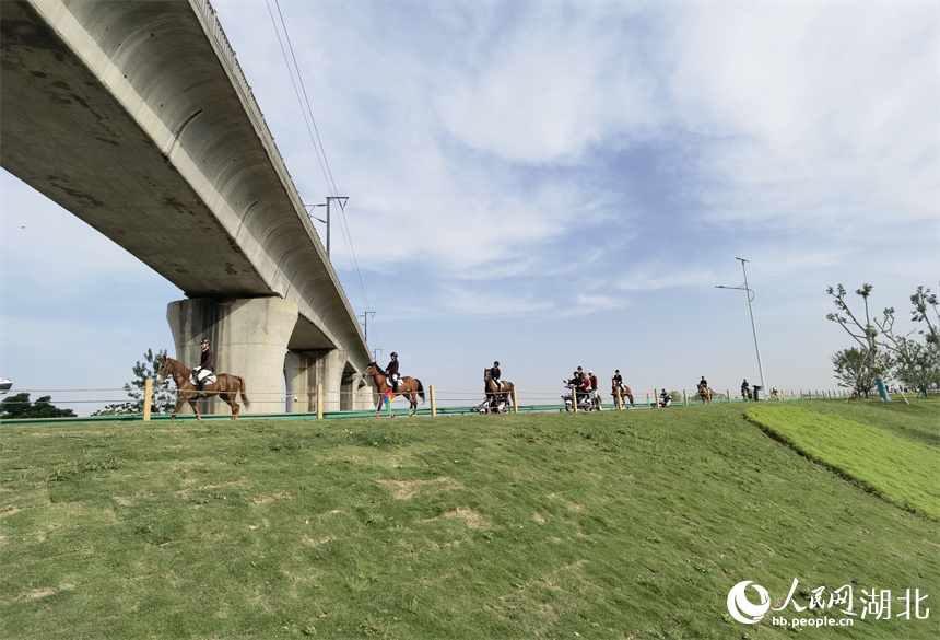 武漢:城市郊野新玩法 “梧桐雨”中享綠色生活