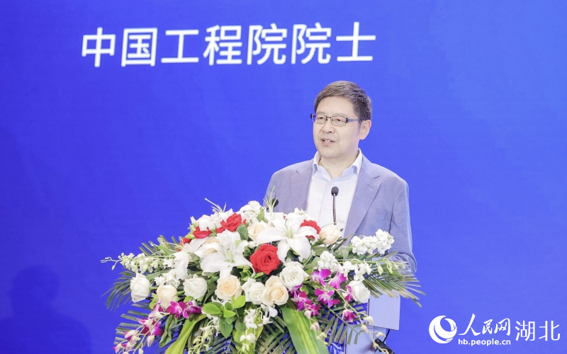 中國工程院院士、華中科技大學(xué)教授丁烈云。