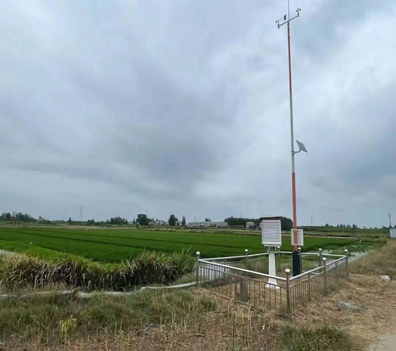 蝦稻氣象觀測站。潛江市氣象局供圖