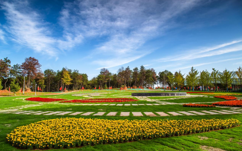 新洲區(qū)未來家園可以一站式體驗賞花、摘果、度假的樂趣。