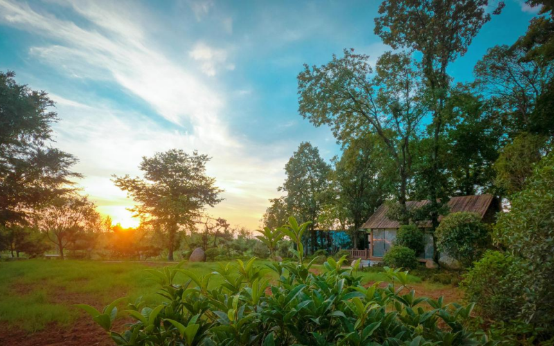 新洲區(qū)未來家園可以一站式體驗賞花、摘果、度假的樂趣。