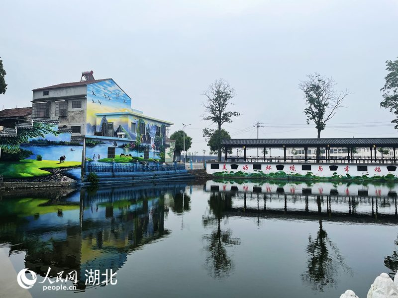 湖北省武穴市大金鎮(zhèn)蘇垴社區(qū)宋煜垸一隅。人民網(wǎng)記者 周恬攝