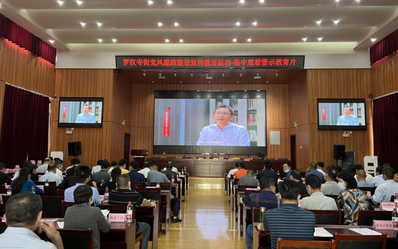 羅漢寺街黨風(fēng)廉政宣傳教育活動(dòng)-組織集中觀看警示教育片。劉鄭哲攝