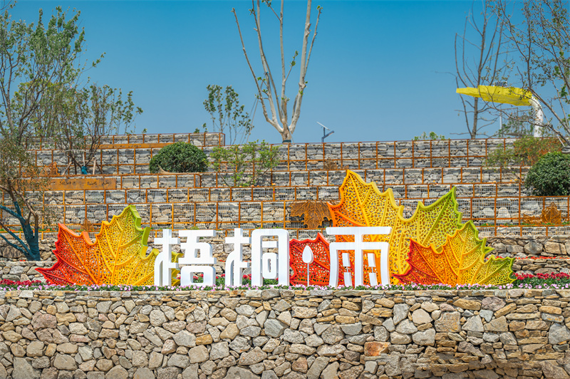 梧桐雨。東西湖區(qū)委宣傳部供圖