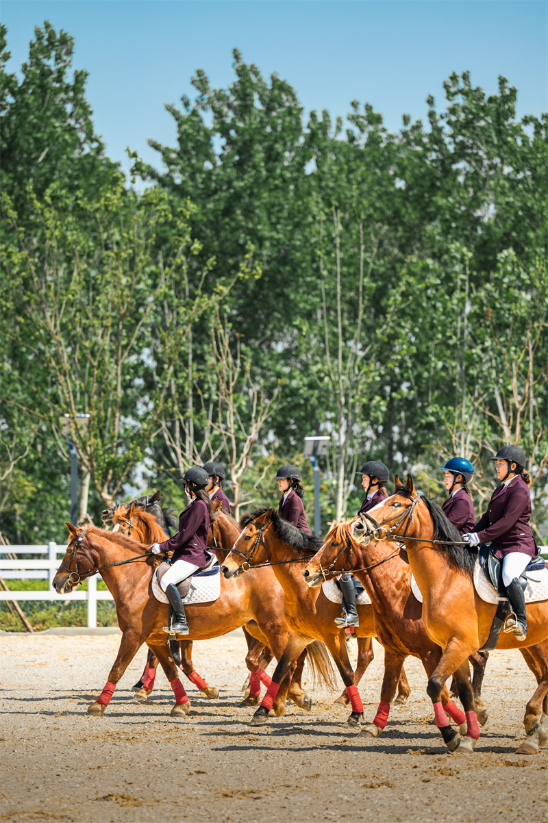 梧桐雨馬場(chǎng)。東西湖區(qū)委宣傳部供圖