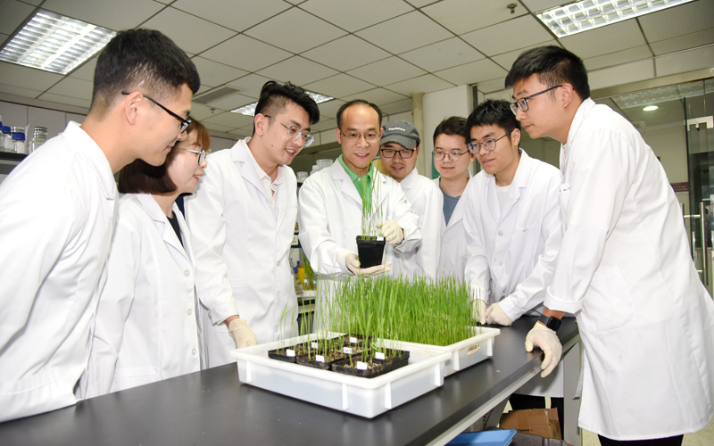 李國田教授團(tuán)隊(duì)。川竹攝