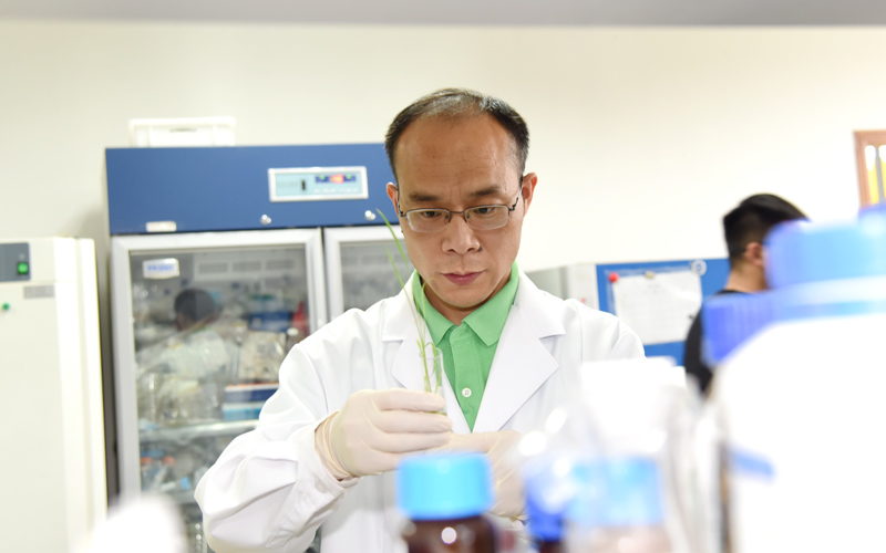 李國田教授在實(shí)驗(yàn)中。川竹攝