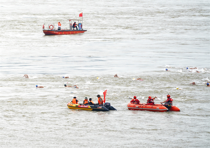千余名“泳”者競(jìng)渡長(zhǎng)江。孫遜攝