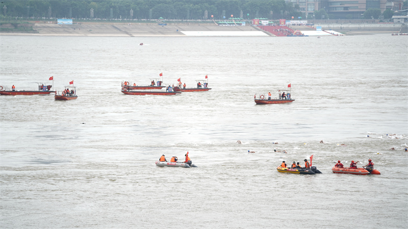 千余名“泳”者競(jìng)渡長(zhǎng)江。孫遜攝