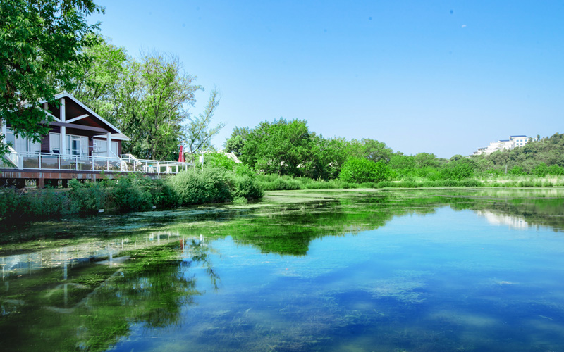 松滋市洈水景區(qū)。饒茜攝