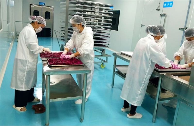 凍干食品生產(chǎn)車間。唐成攝