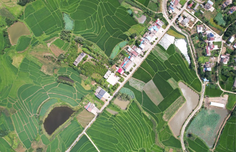 美麗鄉(xiāng)村新圖景。天門市委宣傳部供圖.