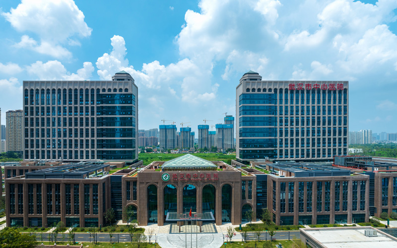 武漢市中心醫(yī)院楊春湖院區(qū)（洪山區(qū)人民醫(yī)院）8月7日正式開(kāi)診，武漢都市圈醫(yī)療布局又添新“坐標(biāo)”。