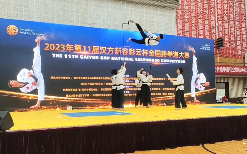 500多名青少年武漢競(jìng)技跆拳道。