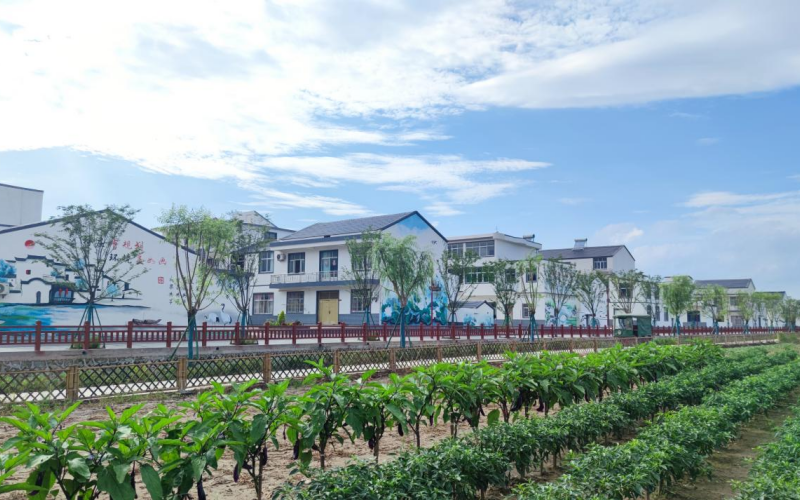 黃岡市黃梅縣小池鎮(zhèn)朱樓村。石勛攝