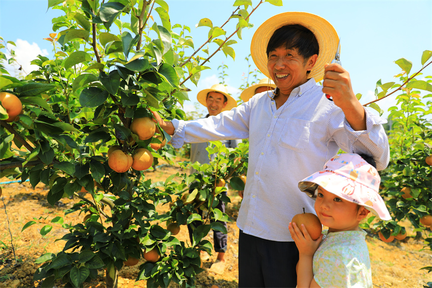 湖北巴東:神農(nóng)溪畔的哨聲