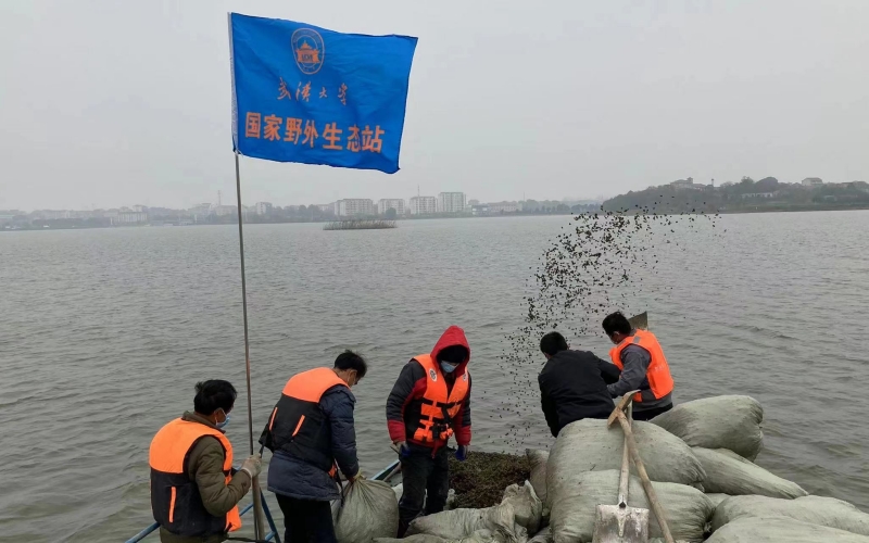 武漢大學梁子湖生態(tài)站于丹團隊。鄂軒攝